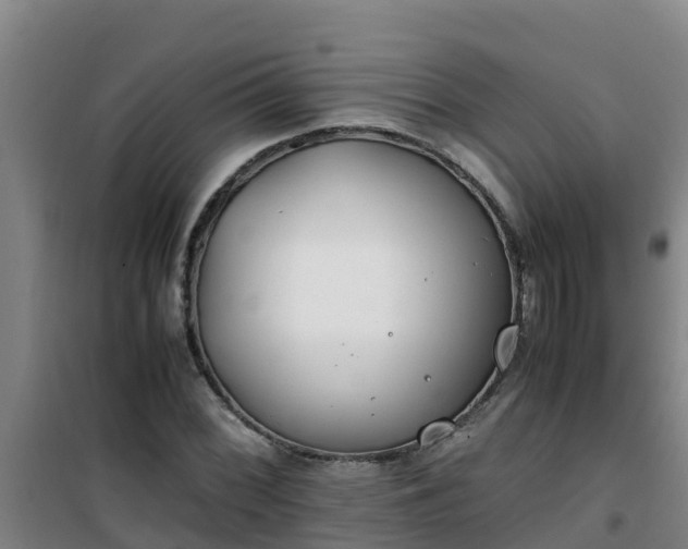 X0000101101068200807031745