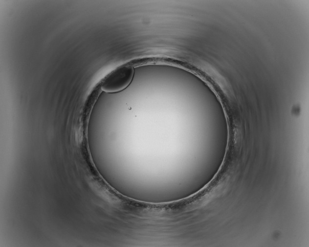 X0000101101069200807031745