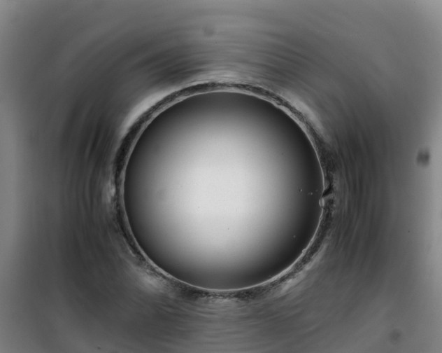 X0000101101070200807031745