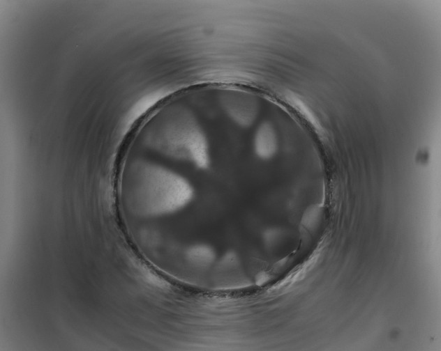 X0000101101071200807031745