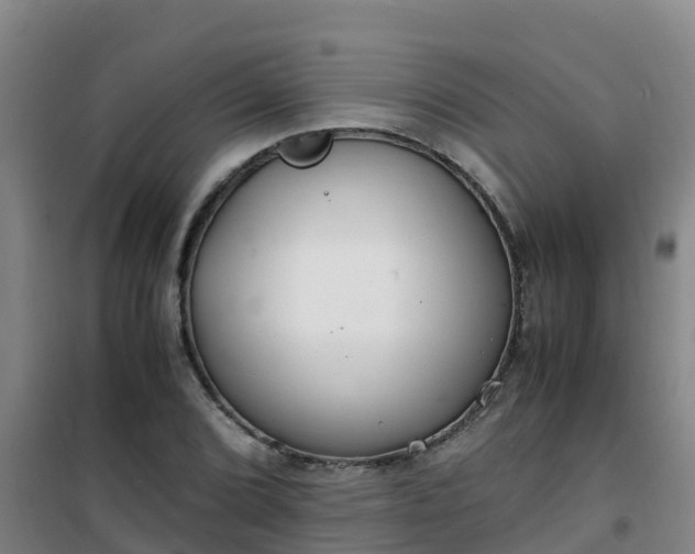 X0000101101072200807031745