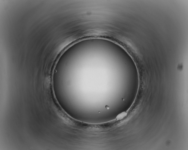 X0000101101073200807031745