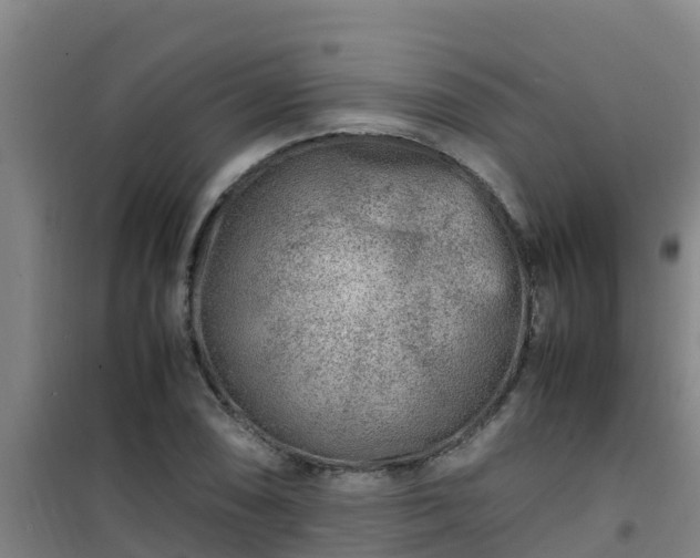 X0000101101074200807031745