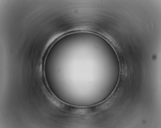 X0000101101078200807031744