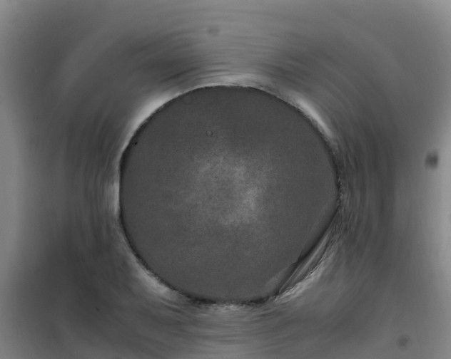 X0000101101079200807031744