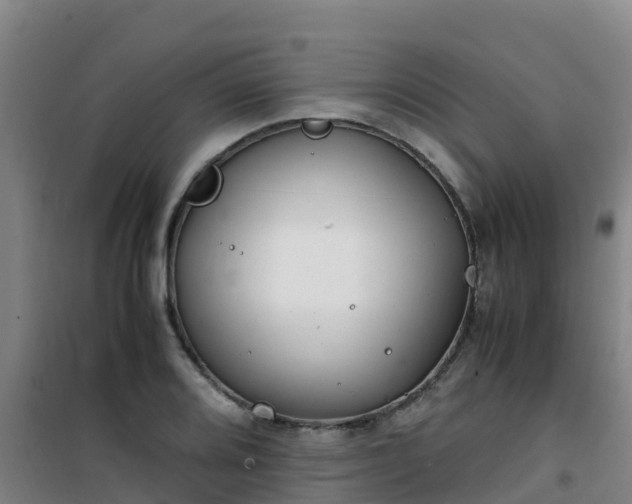 X0000101101080200807031744
