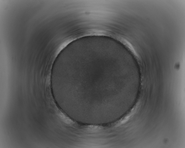 X0000101101081200807031744