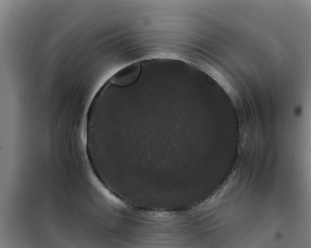 X0000101101084200807031744