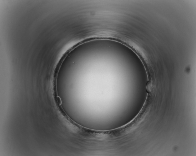 X0000101101085200807031744