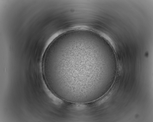 X0000101101090200807031744