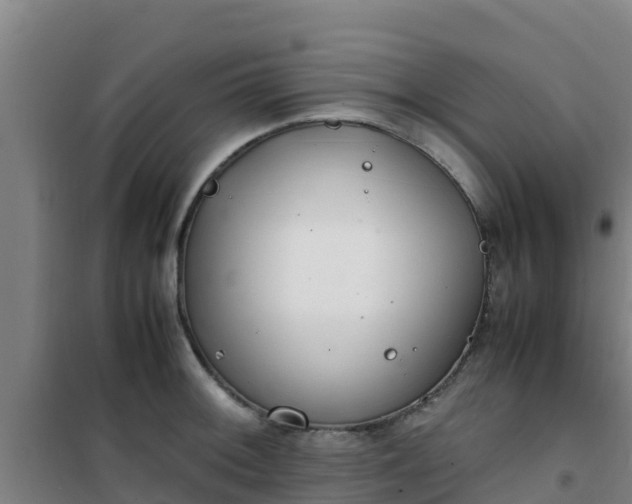 X0000101101092200807031744
