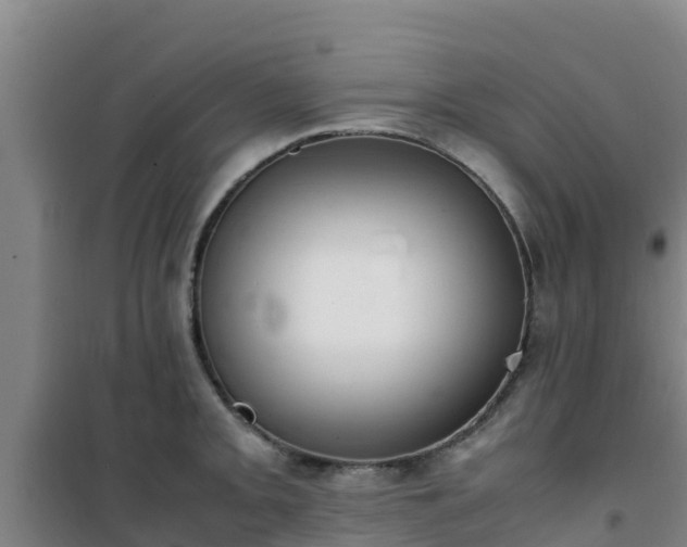 X0000101101093200807031744