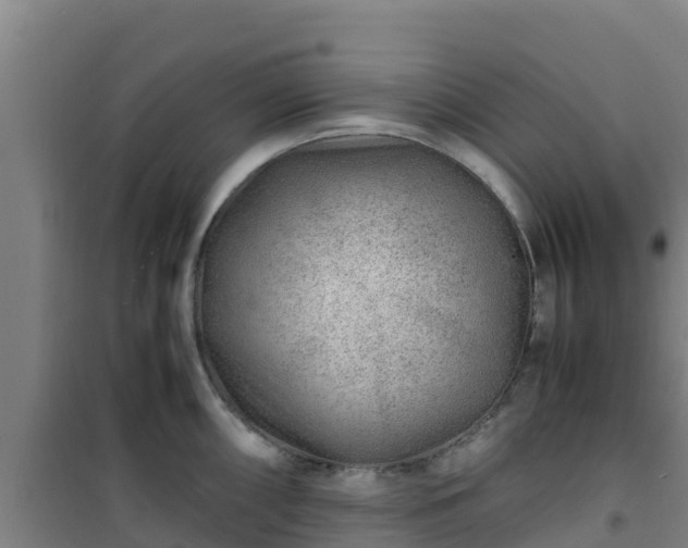 X0000101101098200807031744