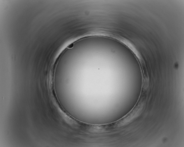 X0000101101101200807031744