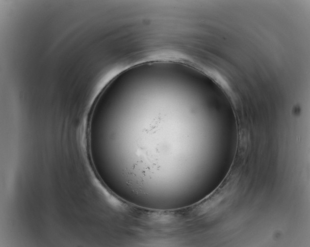 X0000101101103200807031744