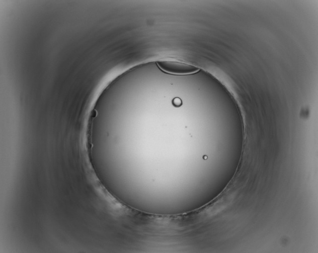 X0000101101104200807031744