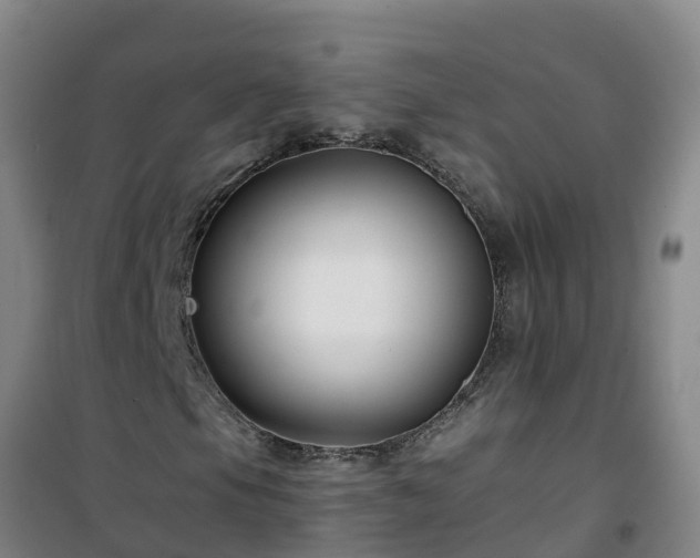 X0000101101105200807031743