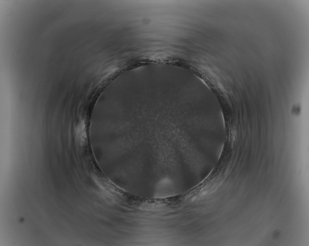 X0000101101106200807031743