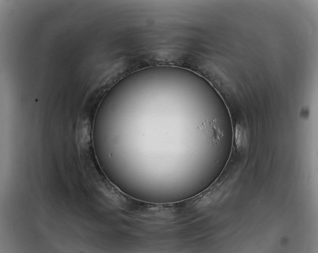 X0000101101107200807031743