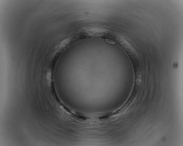 X0000101101108200807031743