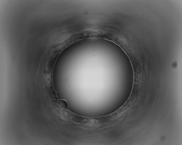 X0000101101109200807031743