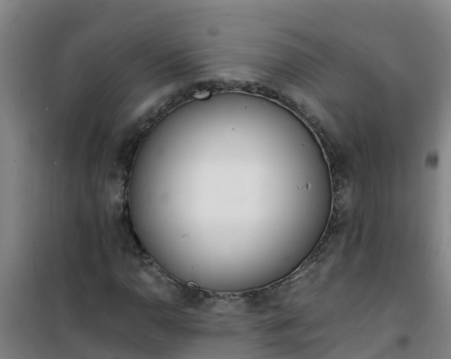 X0000101101110200807031743