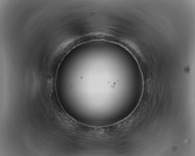 X0000101101111200807031744