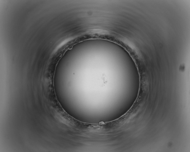 X0000101101112200807031744