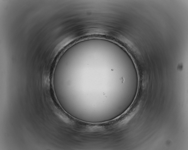 X0000101101113200807031744