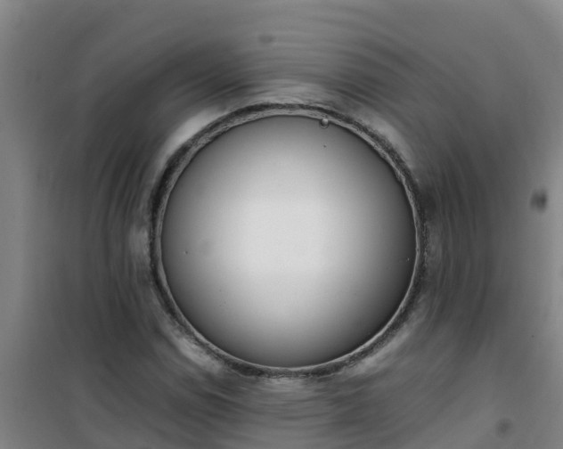 X0000101101114200807031744