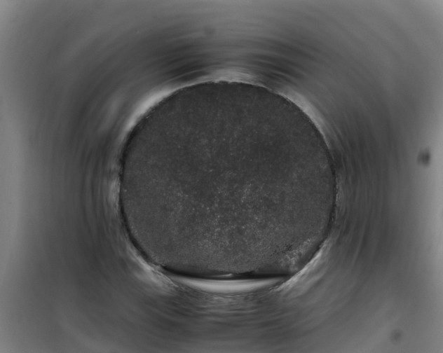 X0000101101115200807031744