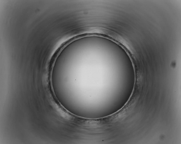 X0000101101116200807031744