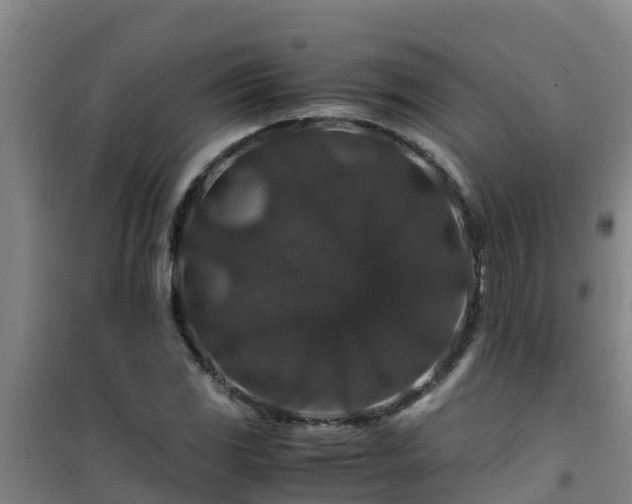X0000101101117200807031744