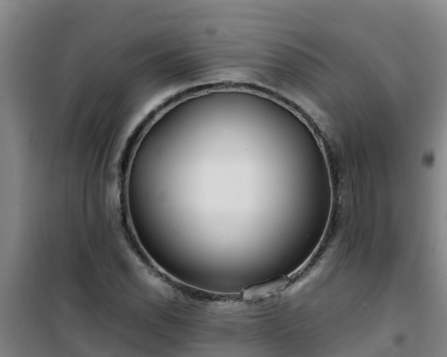 X0000101101118200807031744