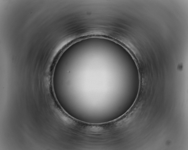 X0000101101119200807031744