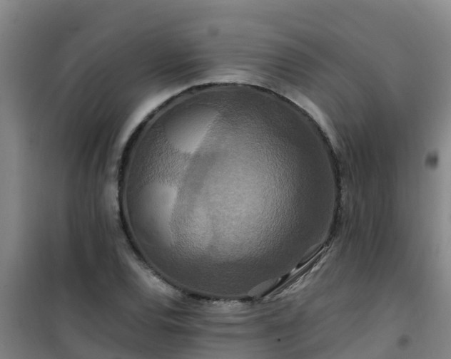 X0000101101120200807031744