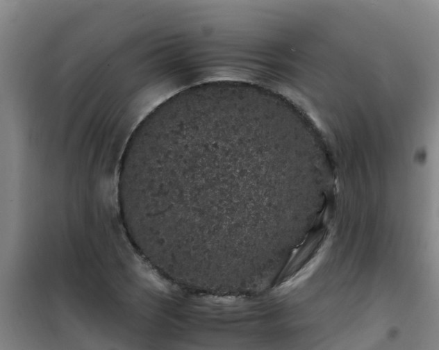 X0000101101121200807031744