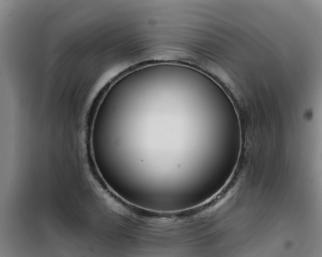 X0000101101122200807031744
