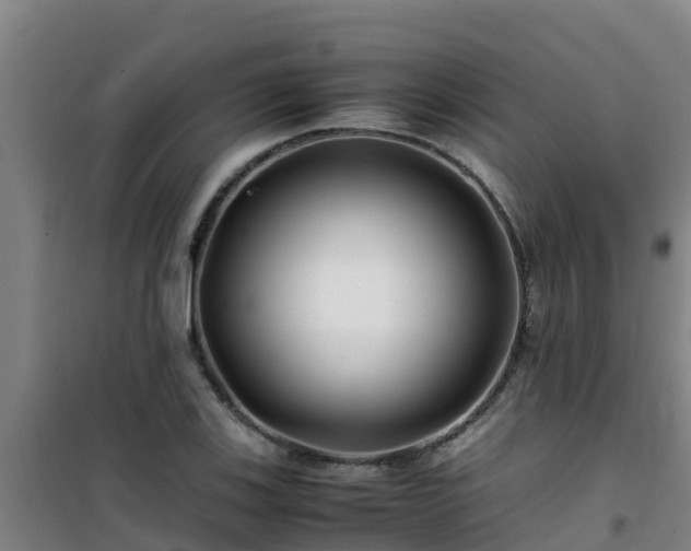 X0000101101123200807031744