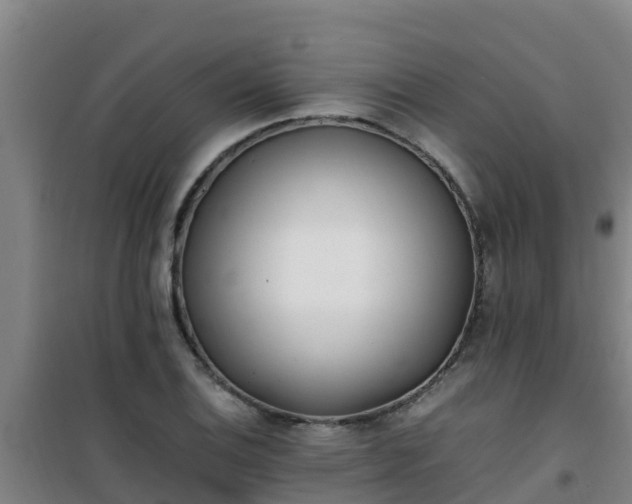 X0000101101124200807031744