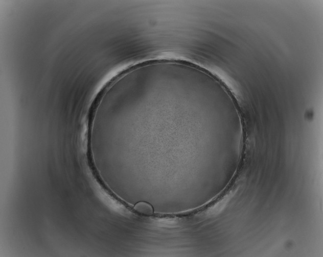 X0000101101126200807031744