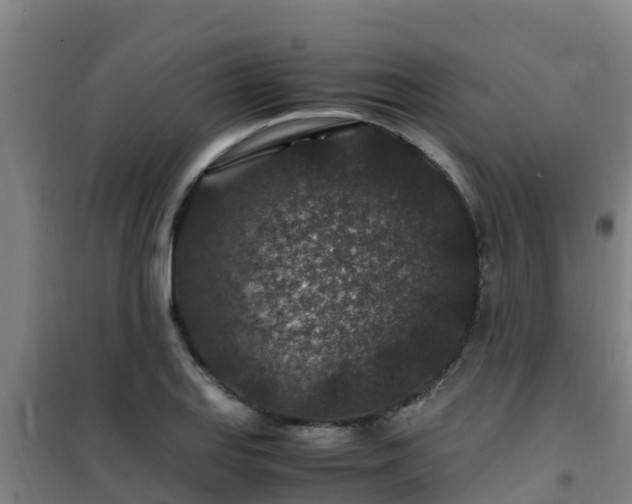 X0000101101127200807031744