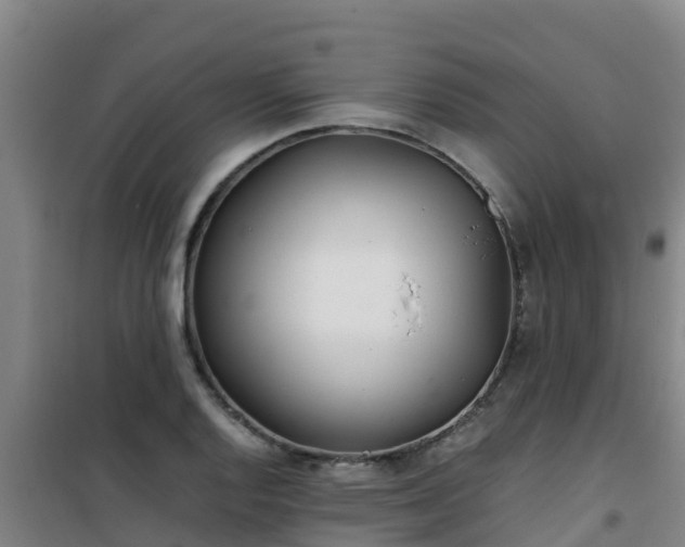 X0000101101128200807031744