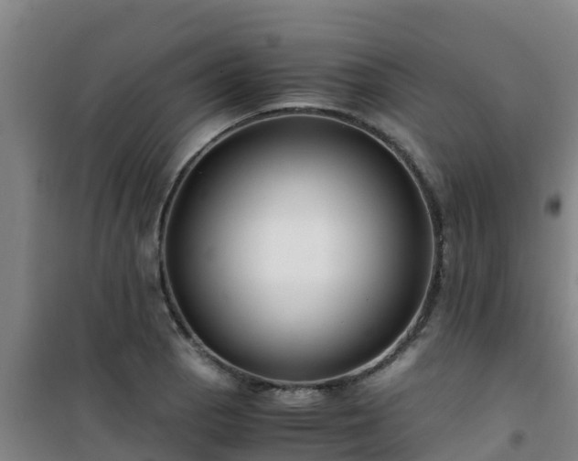 X0000101101129200807031744