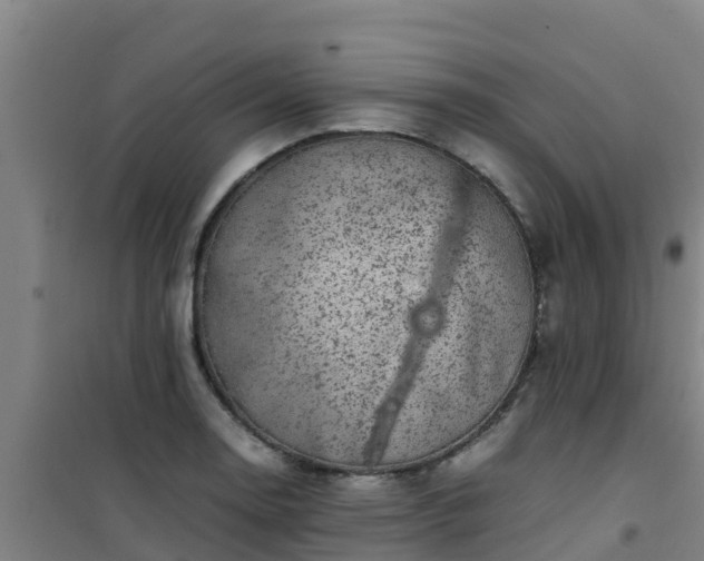 X0000101101130200807031744