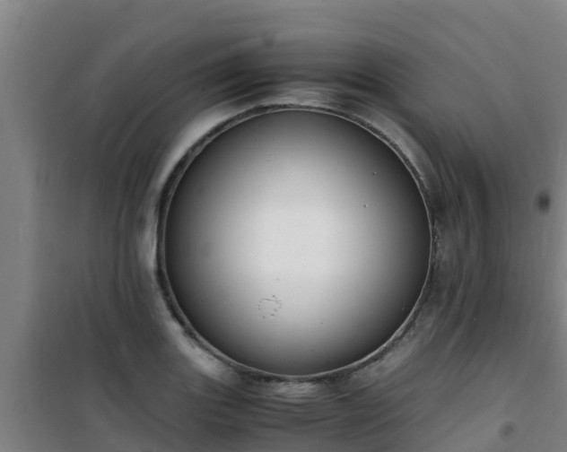 X0000101101131200807031744