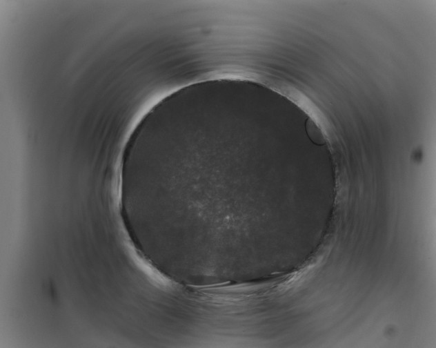 X0000101101132200807031744