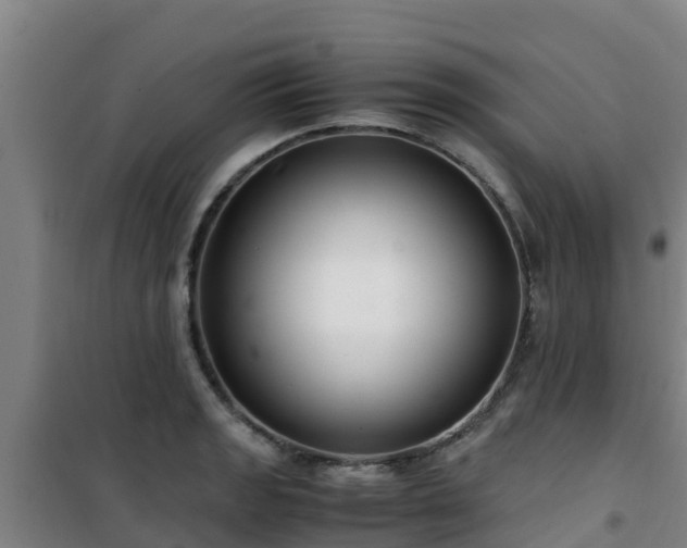 X0000101101133200807031744