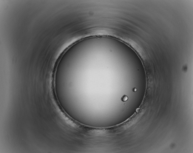 X0000101101134200807031744