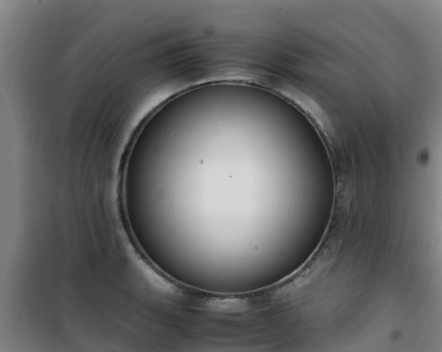X0000101101135200807031744